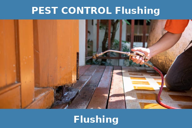 PEST CONTROL Flushing